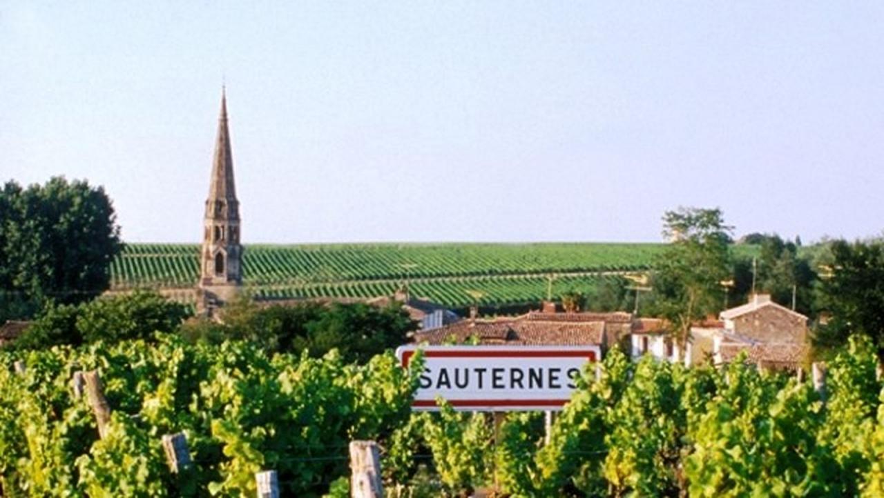 Sauternes village 4